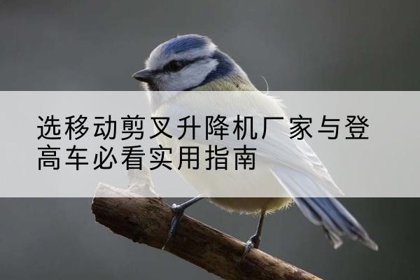 陇南电动升降机厂家-选移动剪叉升降机厂家与登高车必看实用指南