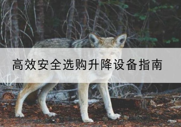 陇南升降货梯厂家推荐-*安全选购升降设备指南