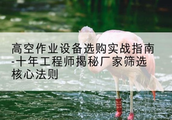 陇南剪叉式升降机厂家-高空作业设备选购实战指南-十年工程师揭秘厂家筛选核心法则
